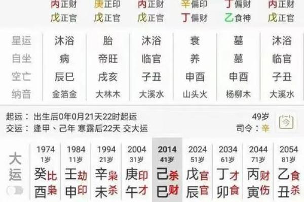 己亥女命破财之谜：八字与财富运势的深度解析