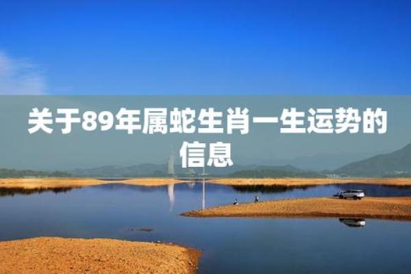67岁属什么生肖?揭秘生肖与命运的奥秘 67岁属什么生肖?揭秘生肖与命运的奥秘