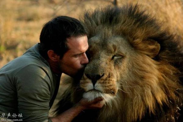 什么命的人容易种活树：探寻人与自然和谐相处的秘密