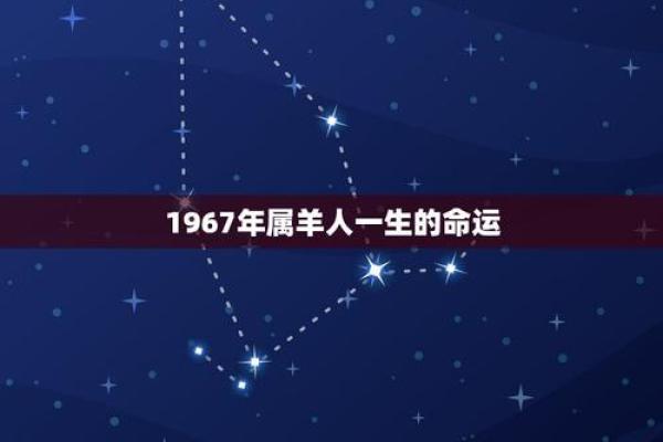 55年属相羊的命运解析：深度剖析命理与人生道路