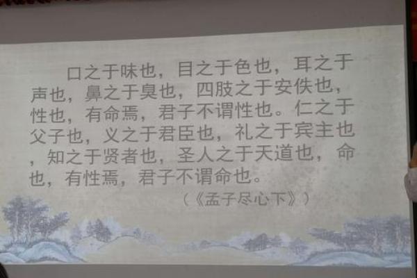 探索“命”的奥秘：命字的多重称呼与意义深化