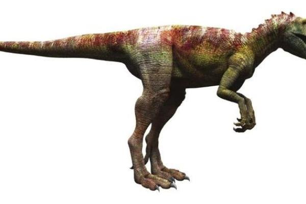 探秘守命侏罗纪：那些令人惊叹的龙类生物