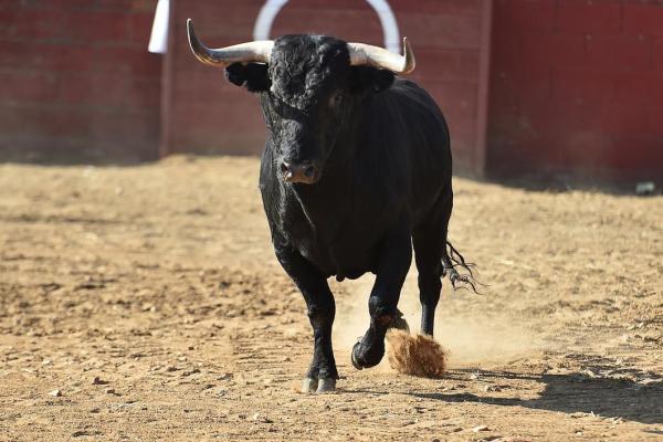 1961年属牛人的命运解析:一畅二灵三成功之路 1961年属牛人的命运解析:一畅二灵三成功之路