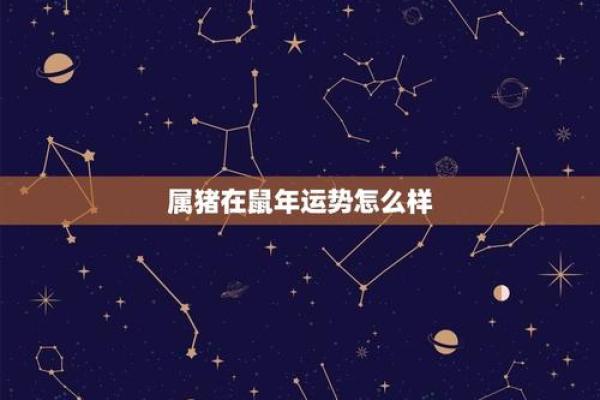 2023年49属猪人士：命运与生活的深度解析