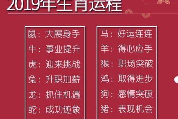 74年腊月虎命解析:揭秘你的性格与人生运势 74年腊月虎命解析:揭秘你的性格与人生运势
