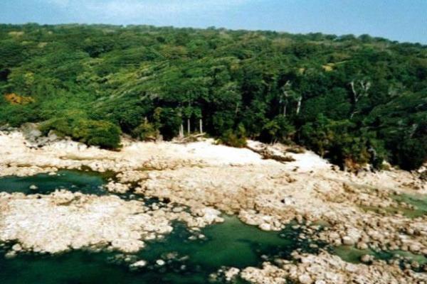 未命人:探索自我与未来的无尽可能性 未命人:探索自我与未来的无尽可能性