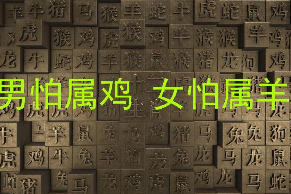 05年属鸡命运与适合的生肖搭配解析 05年属鸡命运与适合的生肖搭配解析