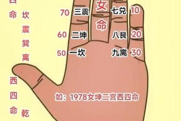 探寻命理之路：揭开东四命与西四命的神秘面纱