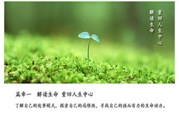 鼠年腊月生人的命运解析：在寒风中绽放人生的光彩