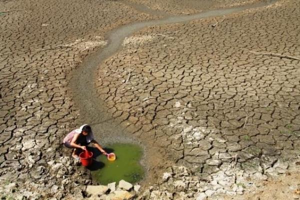 72年出生的命运:从属水之命的视角看人生之路 72年出生的命运:从属水之命的视角看人生之路