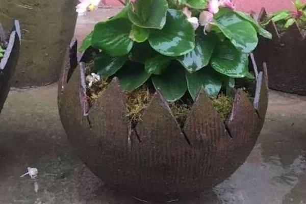 为何有人会选择“破罐子破摔”?探寻心理背后的秘密 为何有人会选择“破罐子破摔”?探寻心理背后的秘密