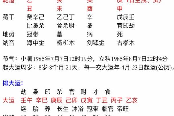 探秘乙丑年：深入了解乙丑年的命理特征与人生影响