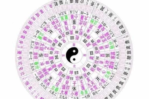探讨丁酉年命理：鸡年之命的奥秘与智慧