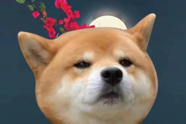 1994属狗女性命运解析:独立坚韧的生活之路 1994属狗女性命运解析:独立坚韧的生活之路