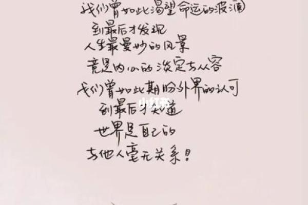 50岁属狗女性的命运与未来：智慧与温暖的人生旅程