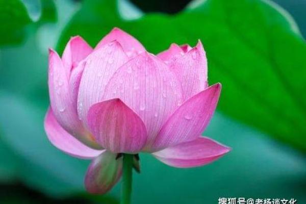 水命如何借助佩饰提升运势，财运亨通的秘密！