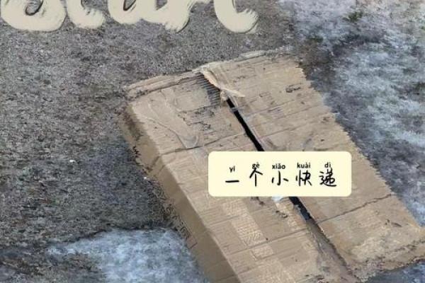 探索“牵命”：古老智慧与现代生活的交融之道