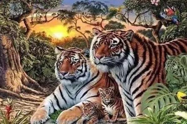 9月兔子命运解析：命里缺失，如何找到内心的平衡与幸福？