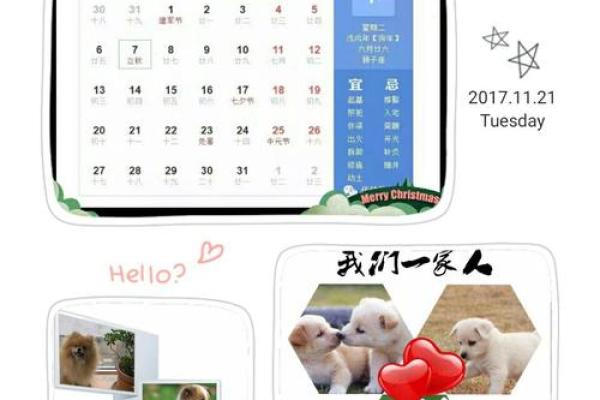 探秘2018年的农历生肖：狗年的人生旅程与命运解析