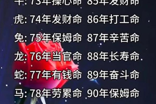 88年是什么命？揭秘命理与命相的深层联系！