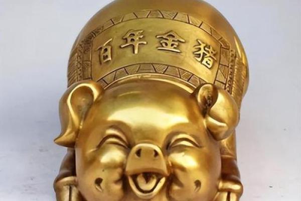 72岁属猪的命运解析与人生智慧