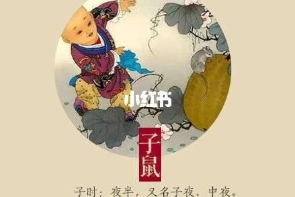 20年子鼠的命运解析：从古至今的命理智慧