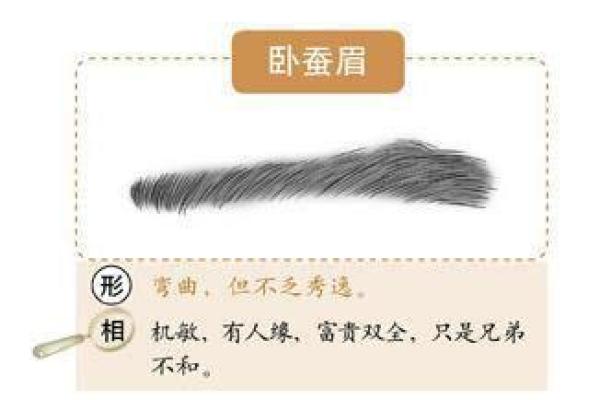 25岁属猪人命运解析：从性格到事业的全面揭秘