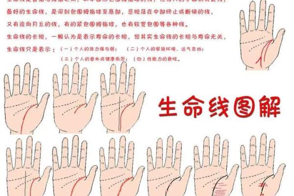 什么样的手相代表上等命盘？破解手相秘密的指南！