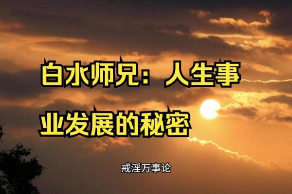 《三命》：掀开命运的面纱，解锁人生的秘密