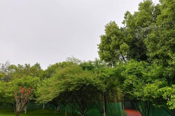 1988年4月:春天绽放的希望与美丽的命运 1988年4月:春天绽放的希望与美丽的命运