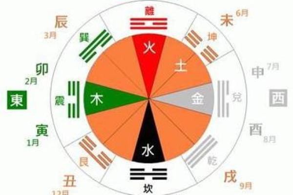 家中风水与木命之人：适合摆放的物品与技巧