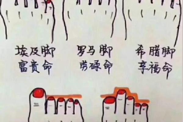 根据属相看富贵命，揭示不同命格的人生轨迹与财富之路