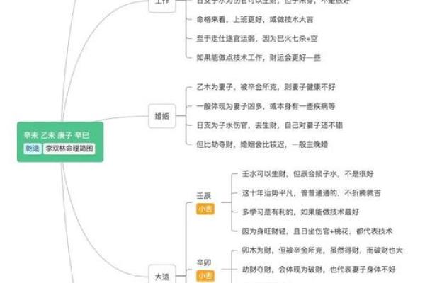 探秘辛未癸巳辛丑戊子命理，揭示命运背后的秘密