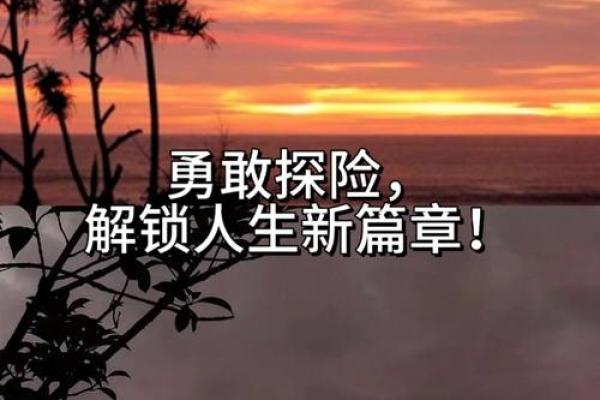 人生55岁：走过半百，迎接新的可能性与挑战