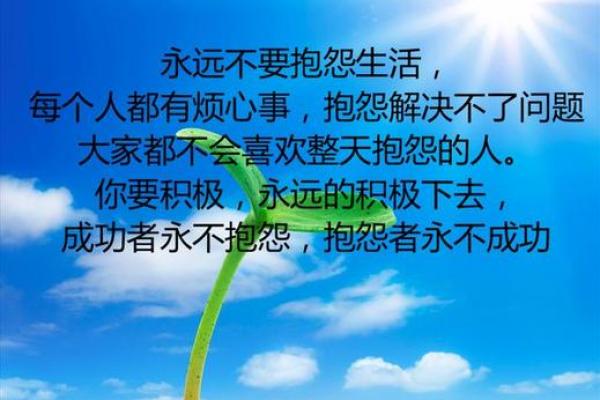 农历八月二十八：属于你的命运解析与生活启示