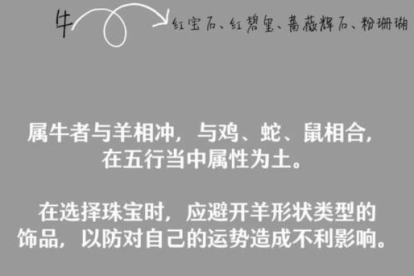 2021年属鼠的命格解析：运势、性格与生活指南