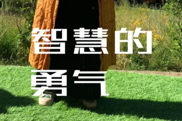 38年属虎的人命运解析：勇敢与智慧的结合