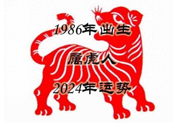 86年出生的人属虎,解析属虎人的命运与性格特征 86年出生的人属虎,解析属虎人的命运与性格特征