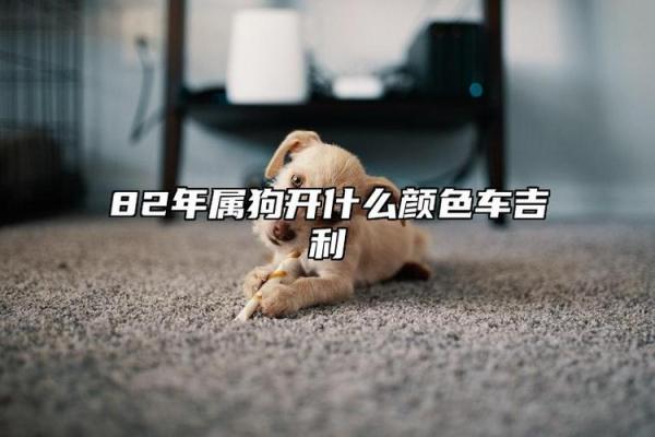 1982年狗年命的性格特点与生活启示 1982年狗年命的性格特点与生活启示