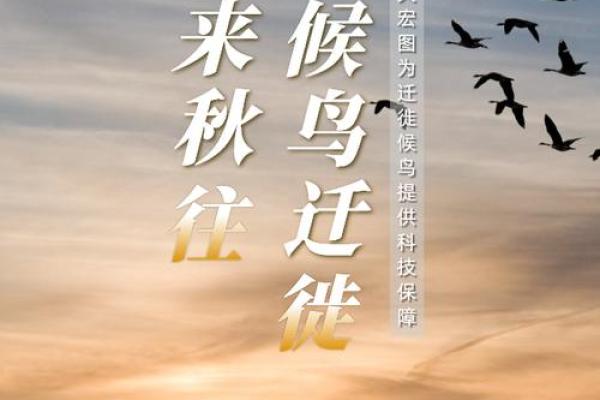 1977年8月出生的命运探索：生命之旅的奇妙篇章