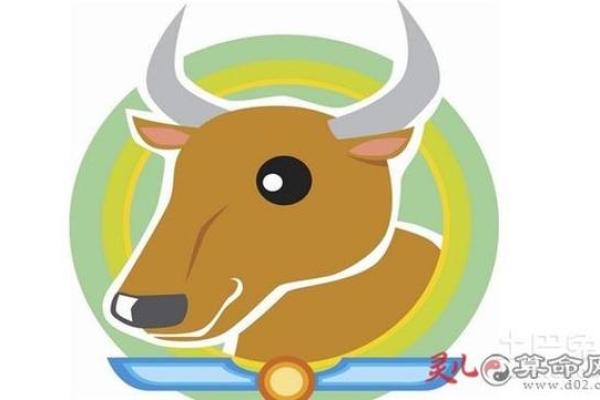 2121牛年命理解析：揭秘牛年的命运与性格特征