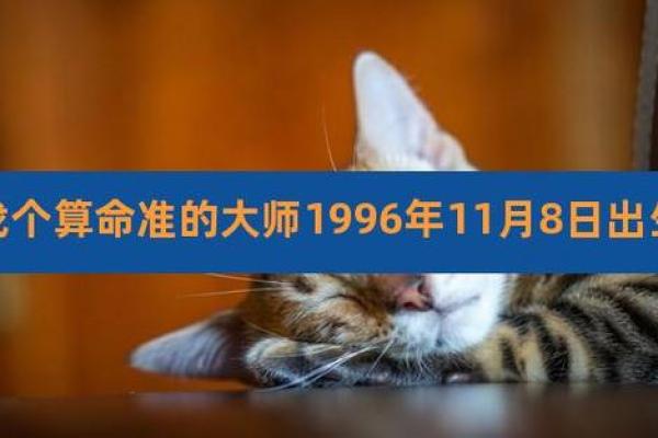 一九九六六年出生的人命运分析：命理与生活的奇妙交织