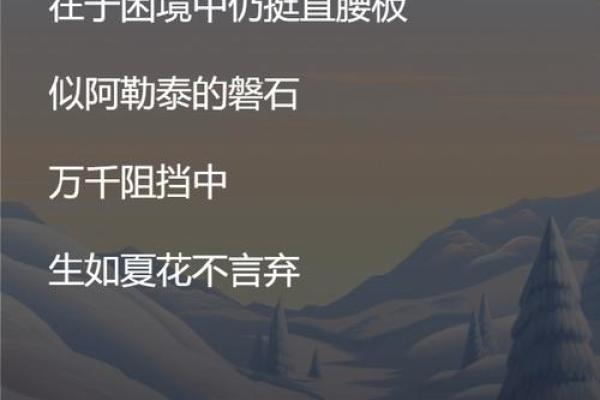 顺天应命，追寻人生的真谛与智慧