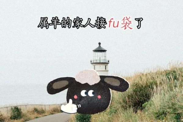 1979年出生的生肖与命运解析：探秘生肖羊的精彩人生