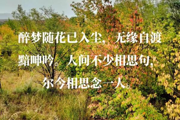 命中注定带两条命的不同内涵与人生体验 命中注定带两条命的不同内涵与人生体验