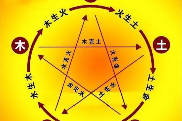 深入探讨木命与其他命相的最佳配合关系