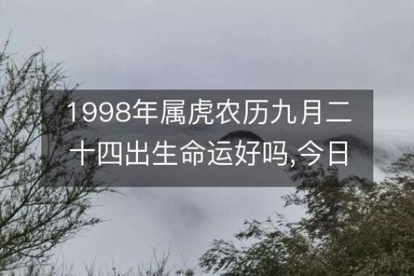 1998年农历12月出生的孩子命运探秘：生活与事业的完美结合