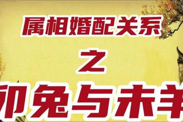 2015年牧羊年——属羊人的命运与人生智慧 2015年牧羊年——属羊人的命运与人生智慧