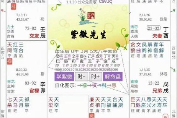 探索紫微命盘：解密命运中的中等命之道