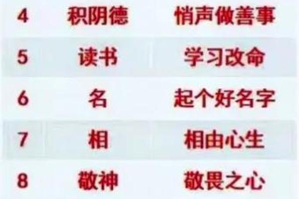 200属什么？揭秘200年命理的神秘奥秘与人生智慧